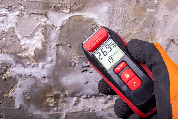 Best Commercial Mold Removal  in Breckinridge Center, KY