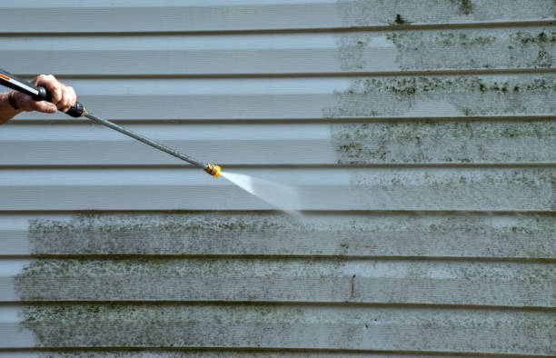 Best Office Mold Removal Services  in Breckinridge Center, KY