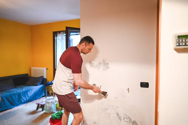 Best Mold Removal Company Near Me  in Breckinridge Center, KY